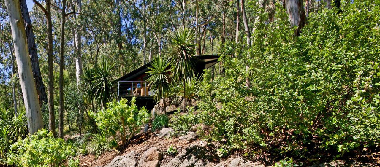Qdos Hotel Lorne Exterior foto