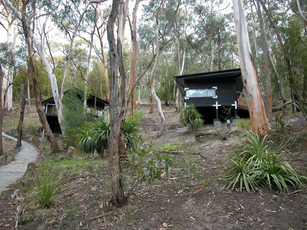 Qdos Hotel Lorne Exterior foto