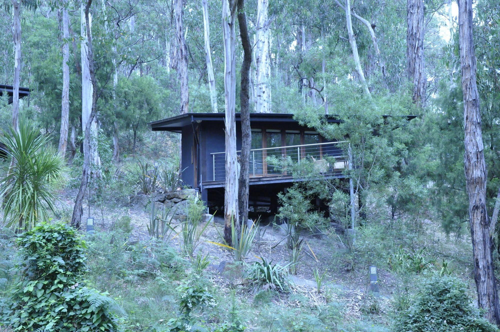 Qdos Hotel Lorne Exterior foto